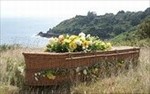 Casket Laying In A Meadow